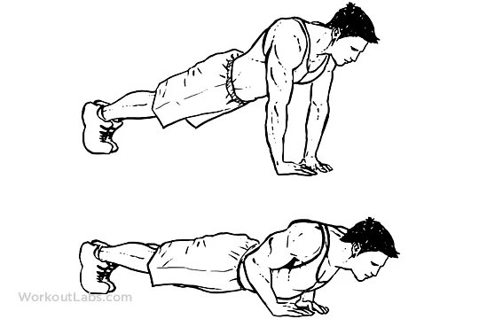 Diamond_Pushup_M_WorkoutLabs.png