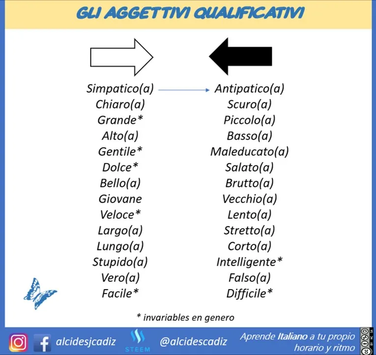 MICROLEZIONEJPG058aggetivi03.jpg