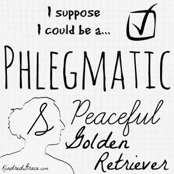 phlegmatic-retriever-350x350.jpg