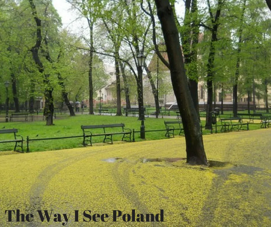 The Way I See Poland.png