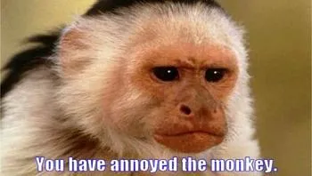 you-have-annoyed-the-monkey.jpeg