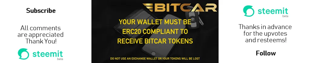 bitcarsteemitfooter11024x210.png