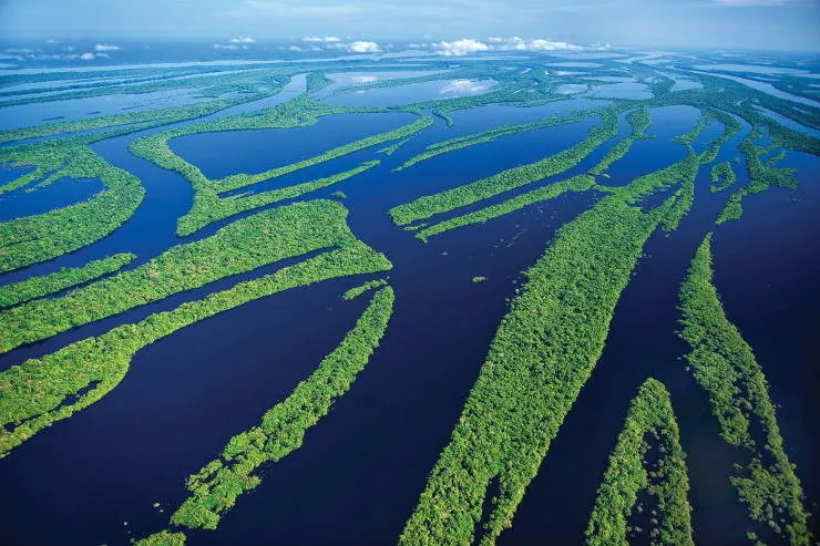 Amazon+River+in+Brazil.jpg