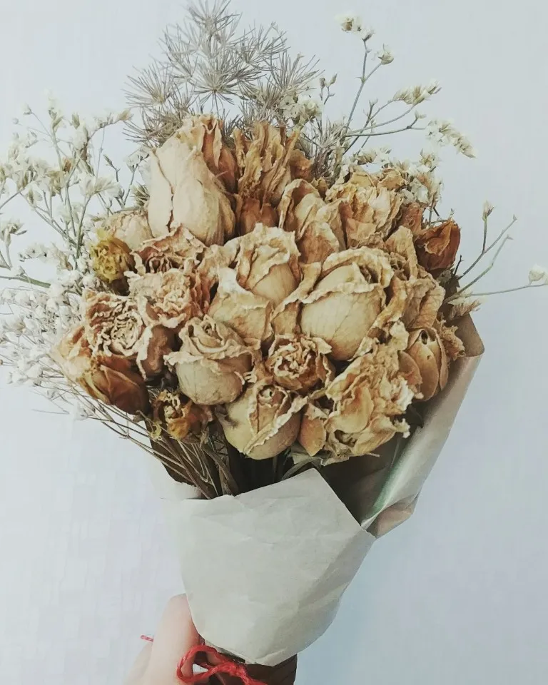 KakaoTalk_20180131_153423286.jpg