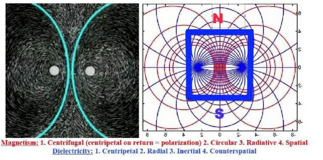 mag-tor-conjugate-forces-owl.jpg