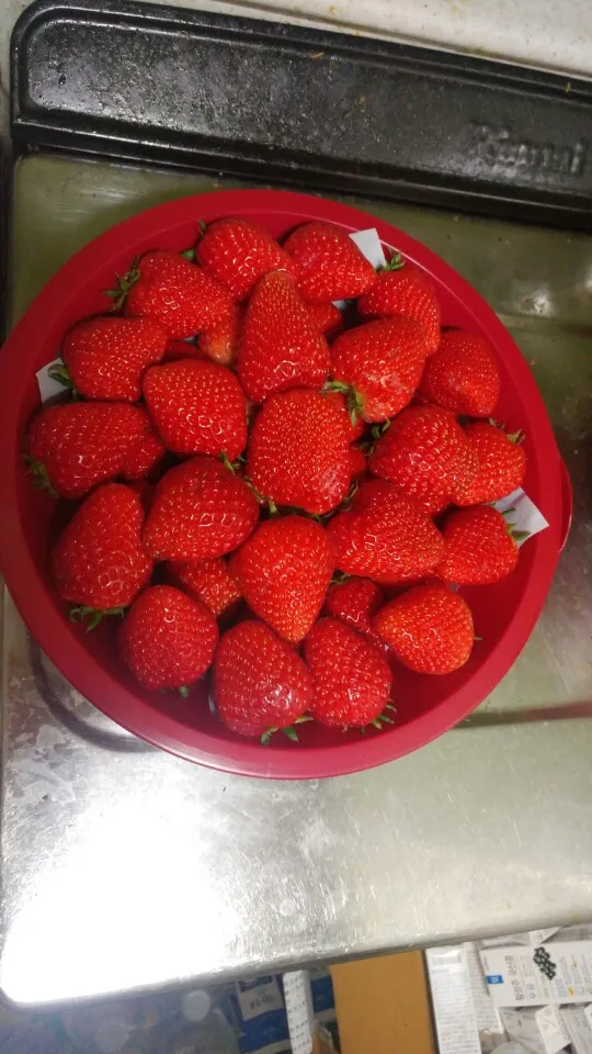 KakaoTalk_20180410_233138986.jpg
