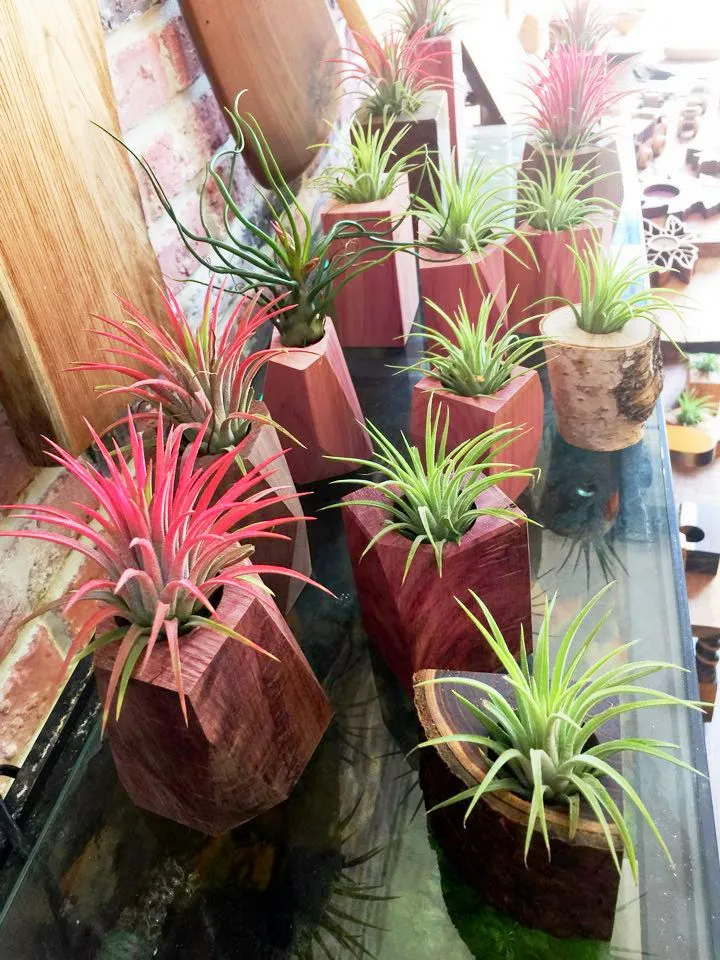 KakaoTalk_20180409_142146629.jpg