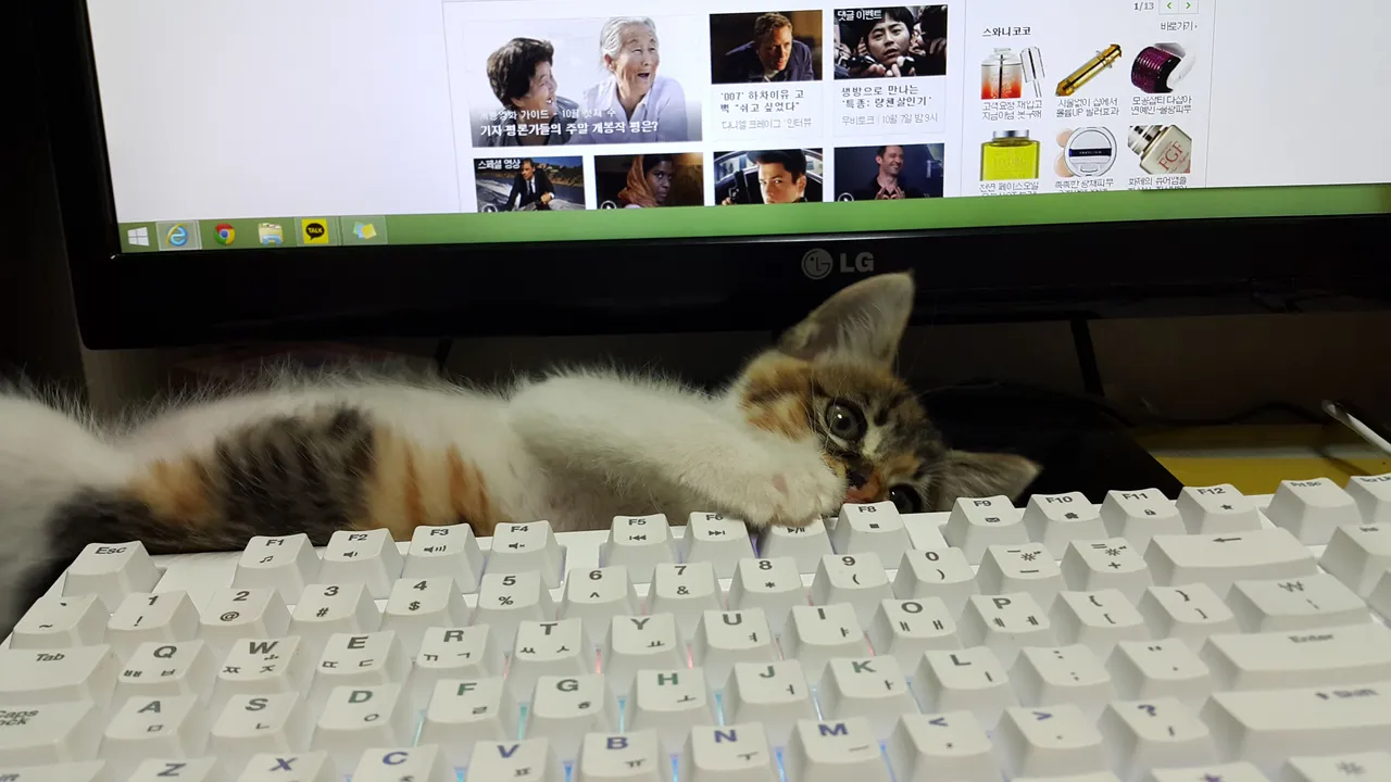 KakaoTalk_20180127_193725974.jpg