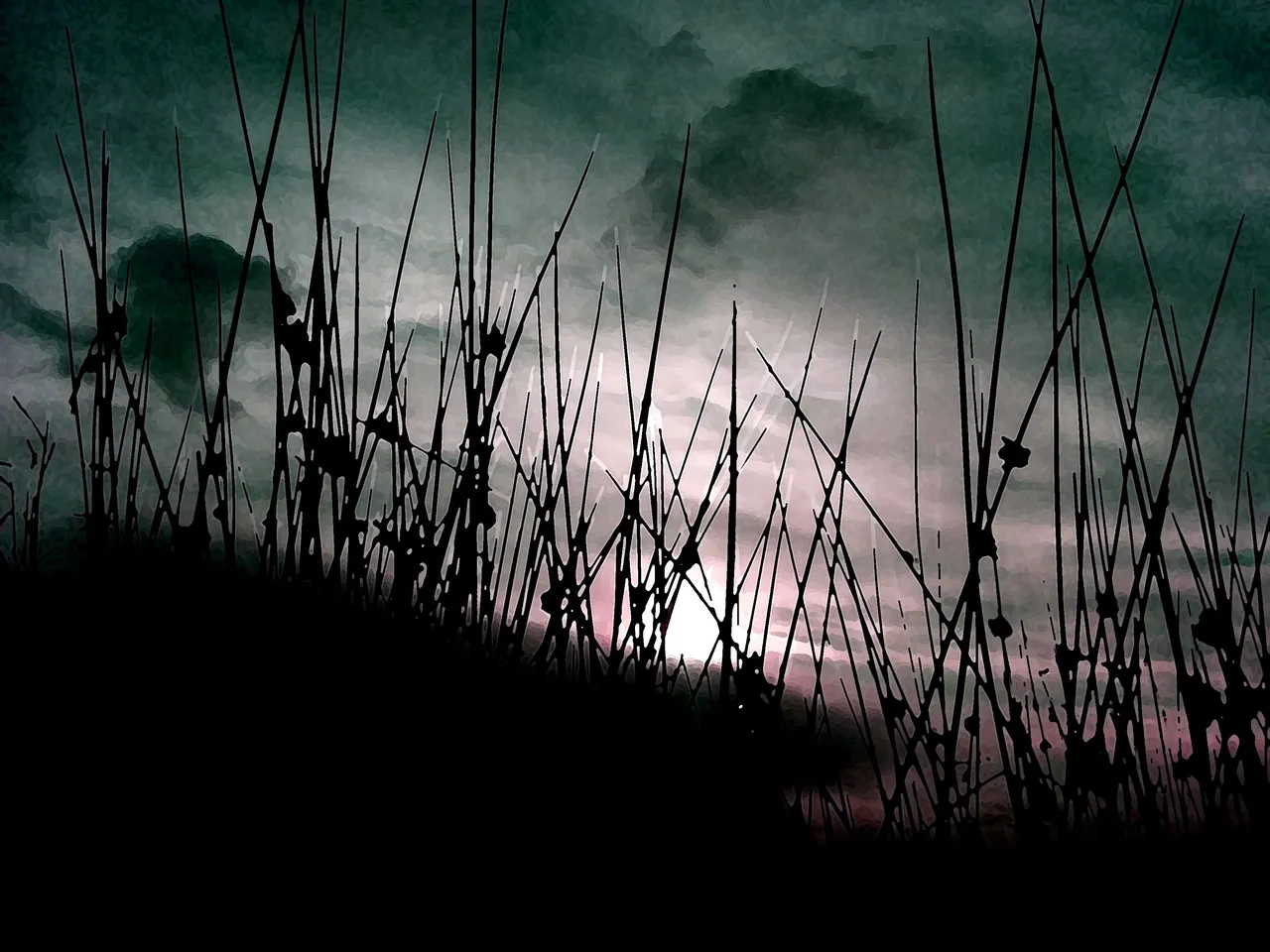 Ilkley Moor Grass_060914.jpg