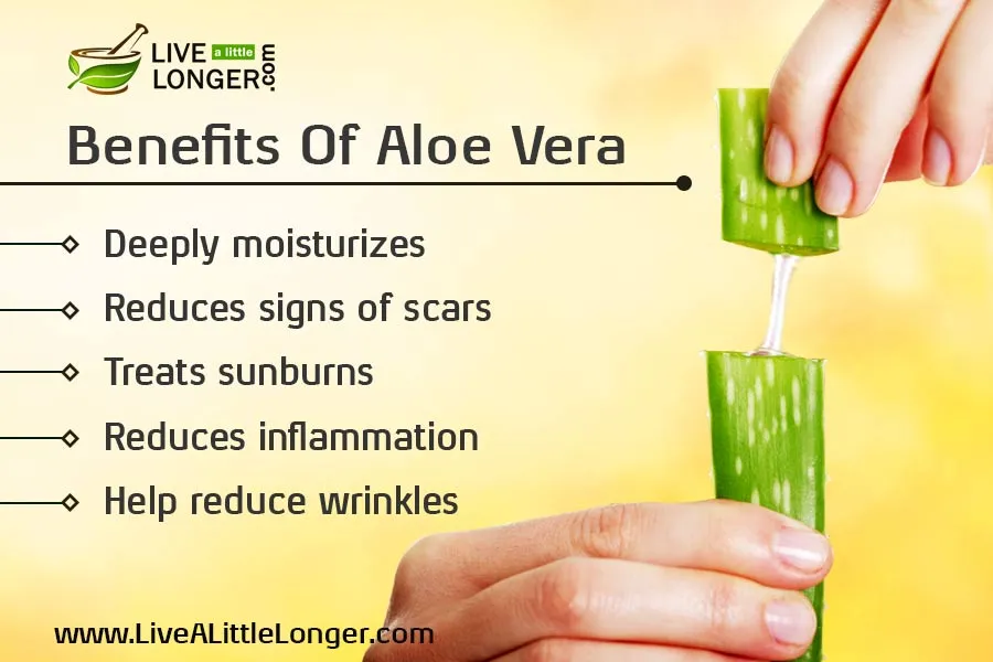 Health-Benefits-Of-aloe-vera.jpg