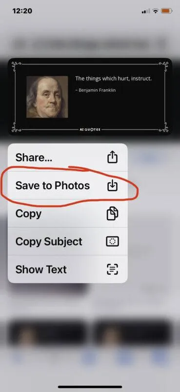 save-picture-from-web-safari-iphone-2-369x800-1