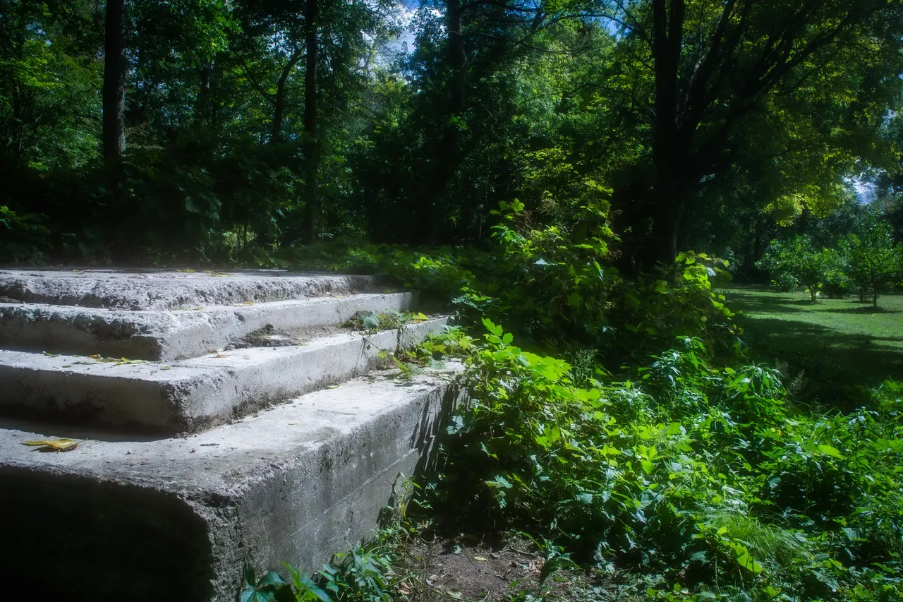 DSC08944.jpg