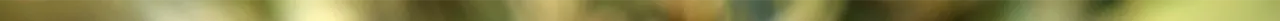 b1 1.png