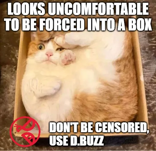 DBuzz1.jpg