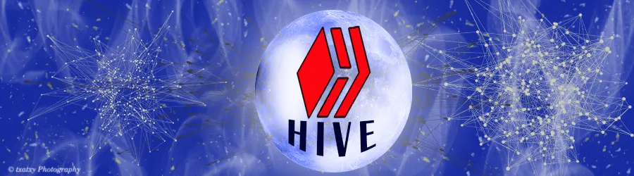 hive1.jpg
