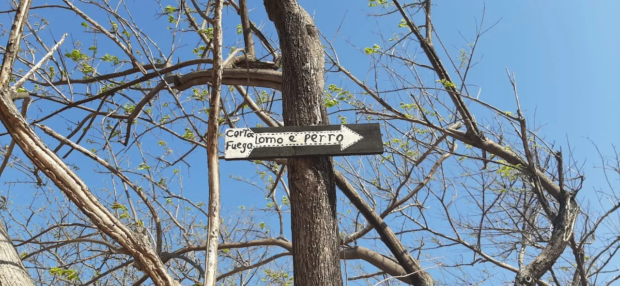 Sign: fire cutter dogs back