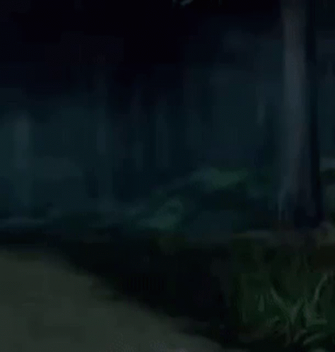 untitled.gif