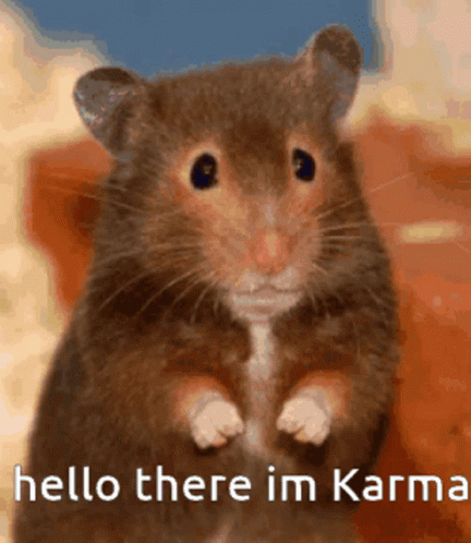 untitled.gif