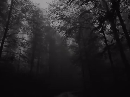 untitled.gif
