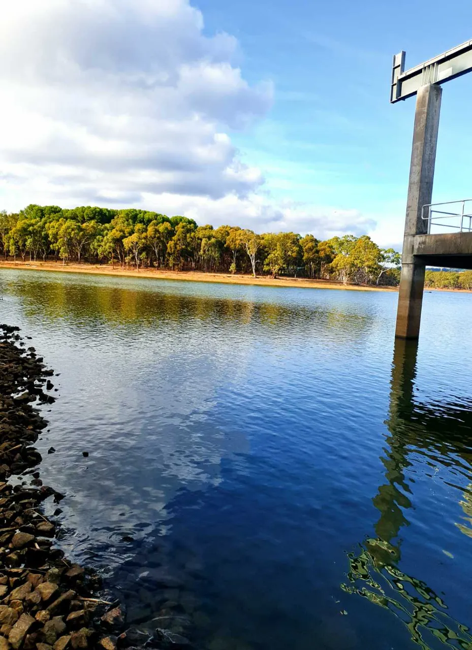 Pretty as a Postcard at the Water Treatment Plant