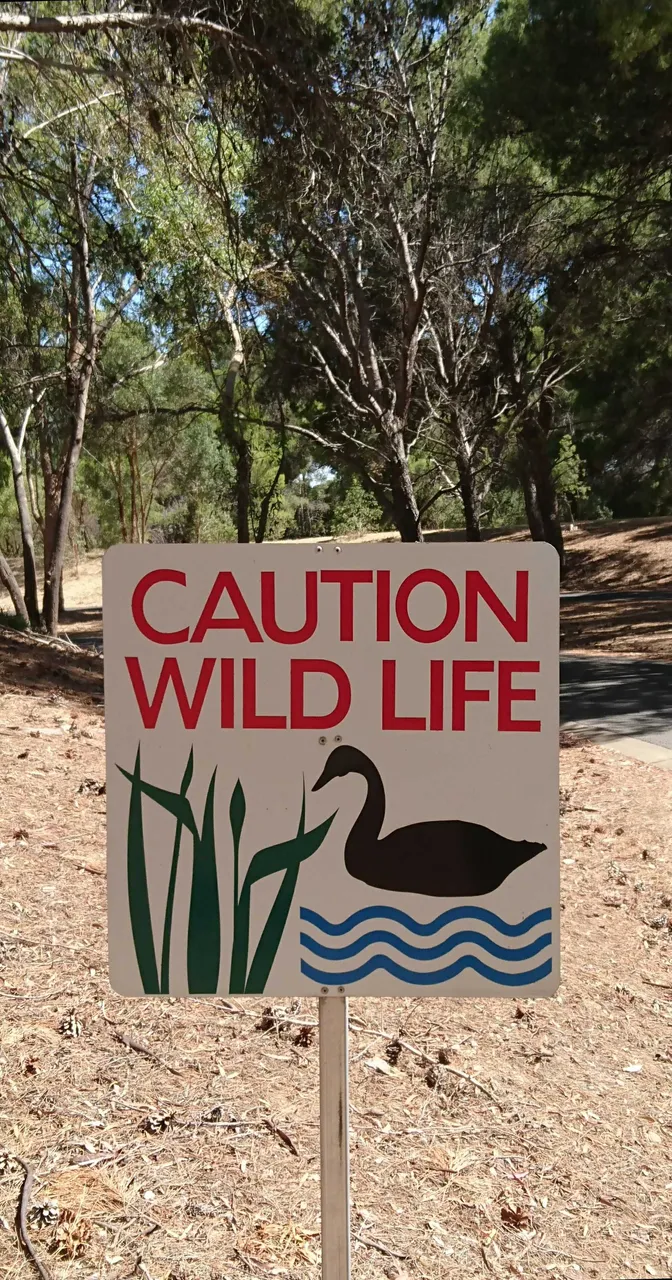 Caution Wild Life