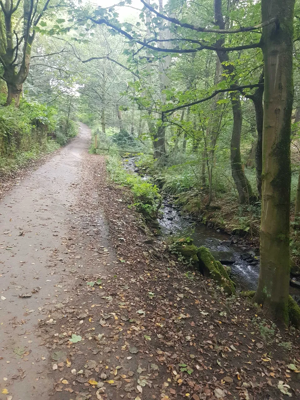 Loadpit Beck Path to Eldwick