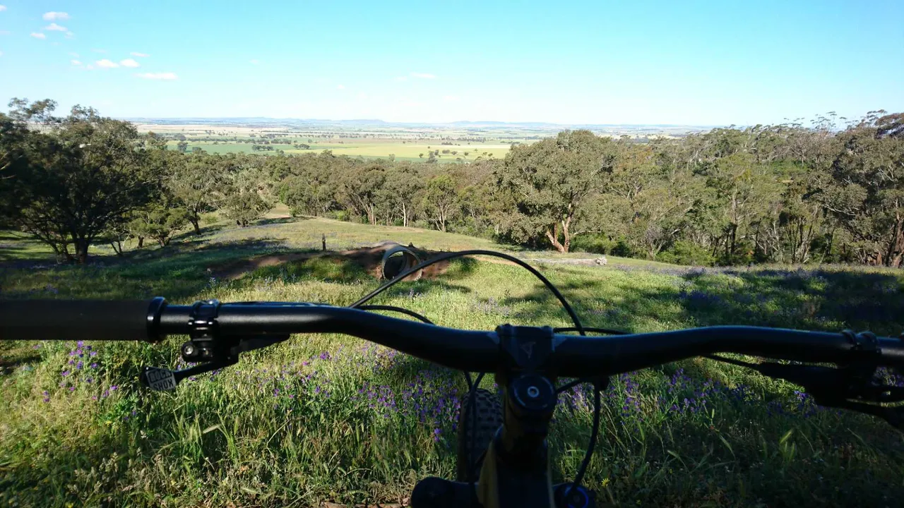 View from a trail on Mount Remarkable