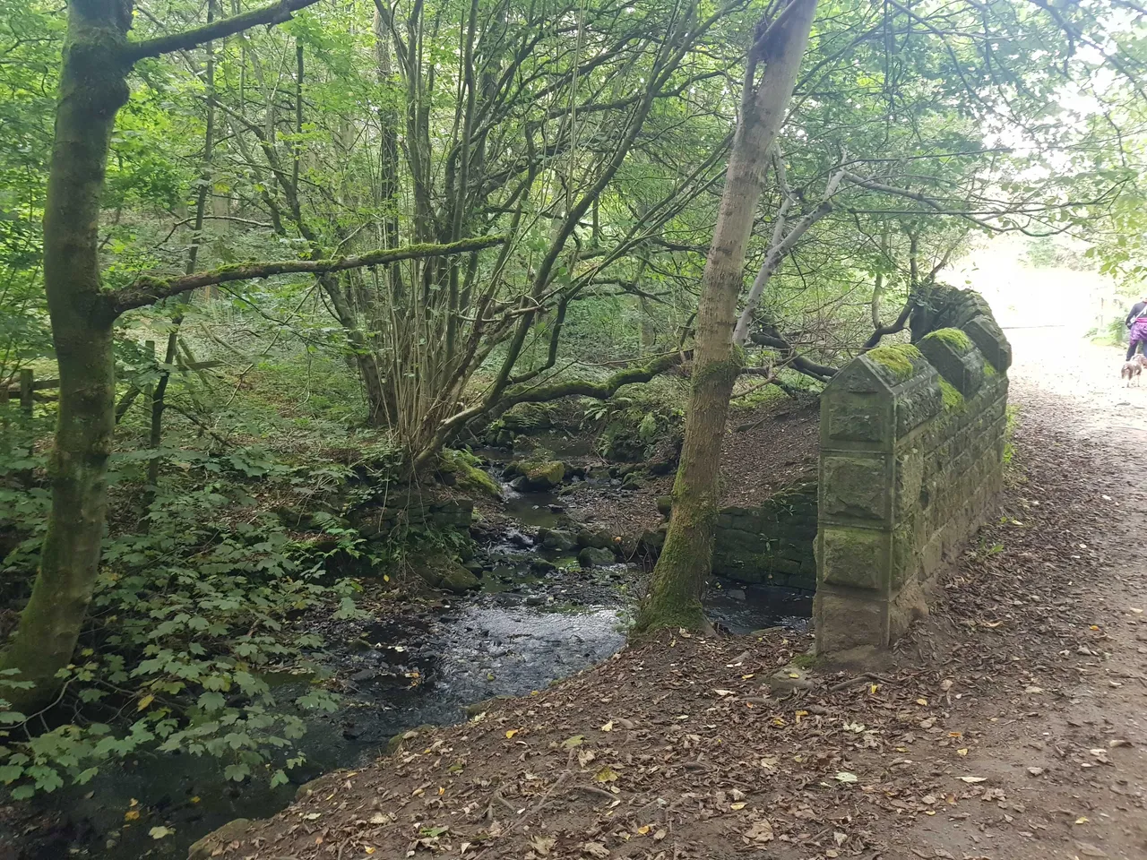 Loadpit Beck Stone Footbridge