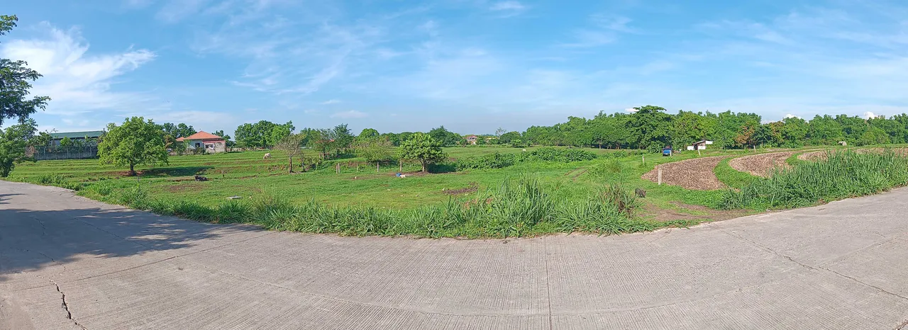 Jogging Route