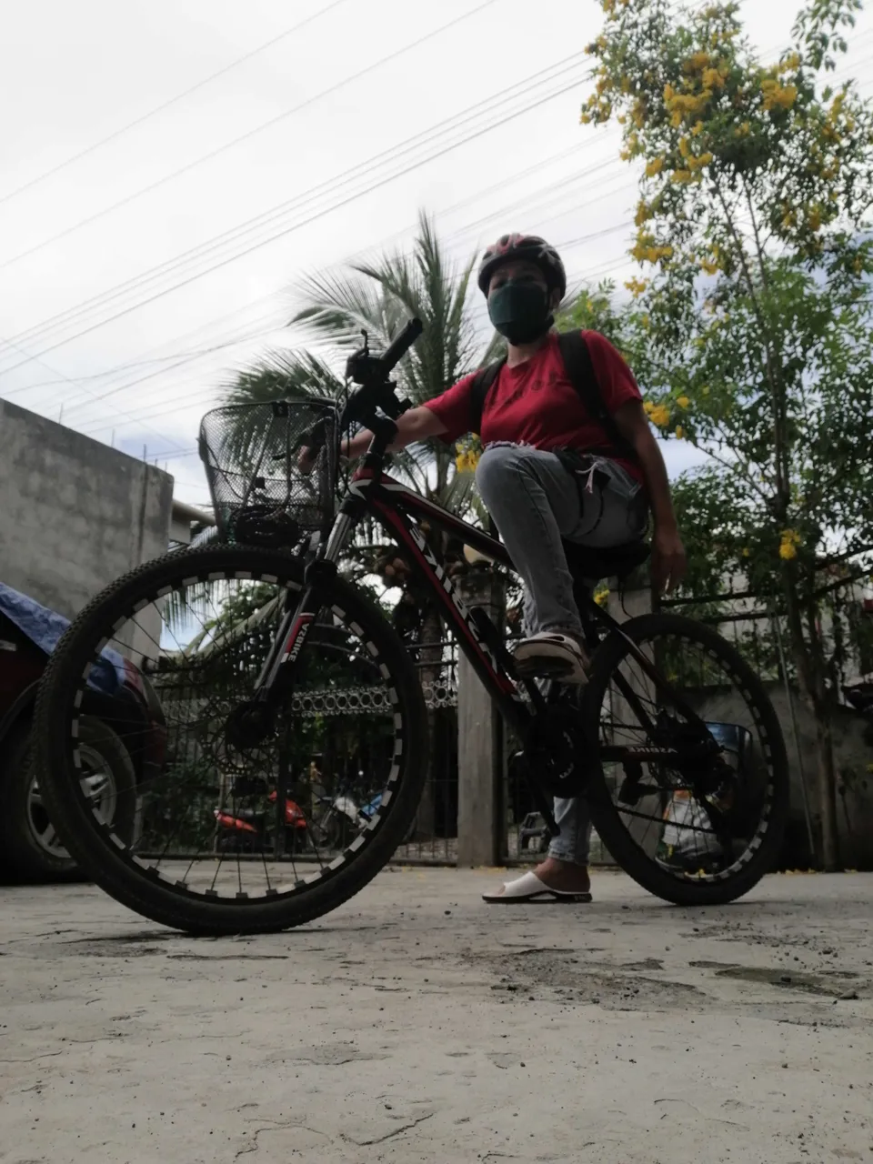 alt