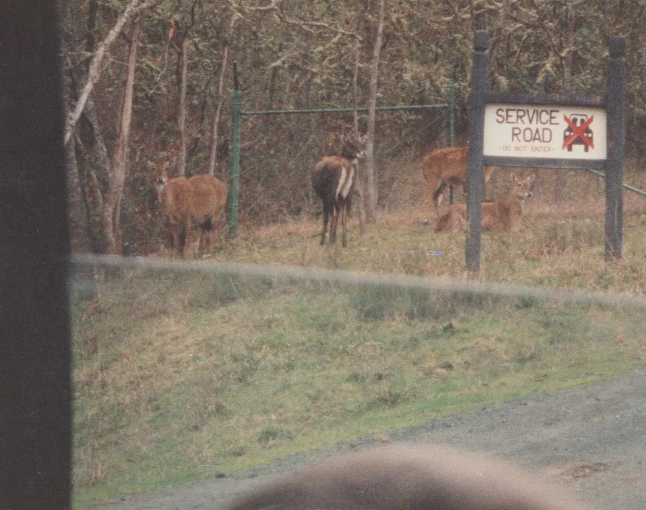 1992-12-26 - Saturday - Wildlife Safari Trip, Marilyn, Crystal-10.png