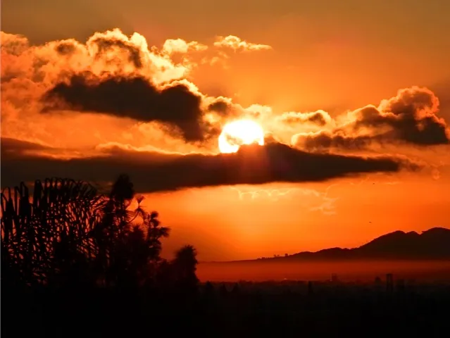 Sunrise Joy's garden Chanukah    _ Joy Krauthammer  2012 .jpg