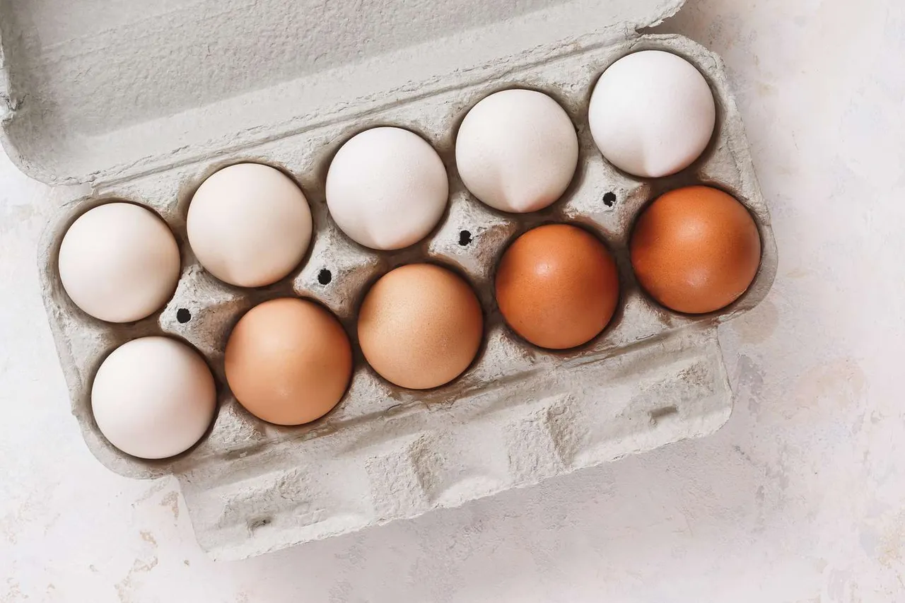 brown-eggs-vs-white-eggs-whats-the-difference-01-aca278858220460b82440e9391418fe4.jpg