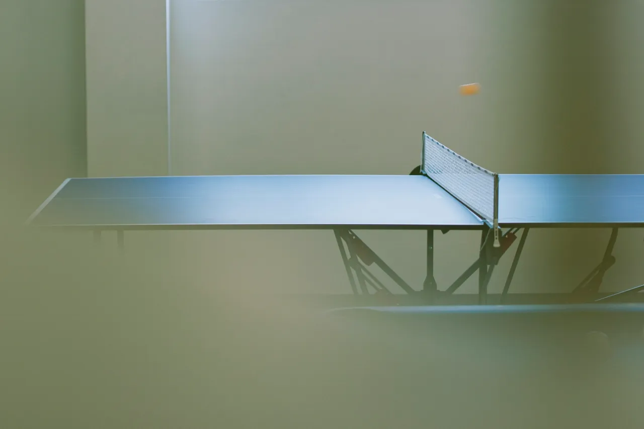 Table tennis. Not from the ryokan. Photo by Jelena Ardila Vetrovec from Unsplash