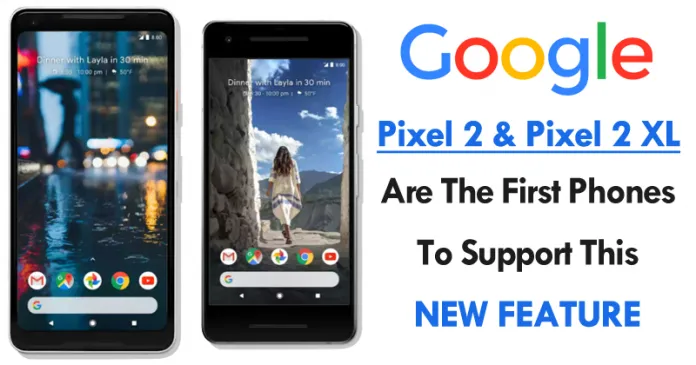 Pixel-2-Pixel-2-XL-Are-The-First-Smartphones-To-Support-This-New-Feature-696x365.png