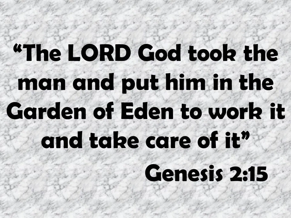 Adam in paradise. The LORD God took the man and put him in the Garden of Eden to work it and take care of it. Genesis 2,15.jpg