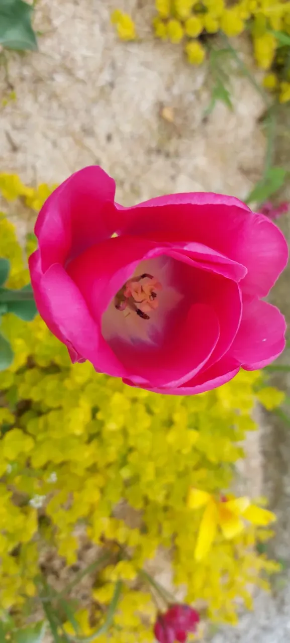8U9KjWKn6NNSg3cY_20250422_170531.webp