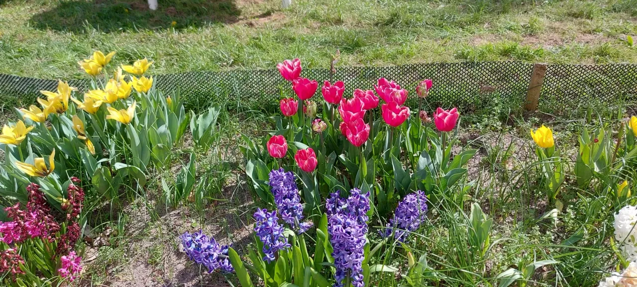 LtwzgCGcMqs7U087_20240321_141450.webp