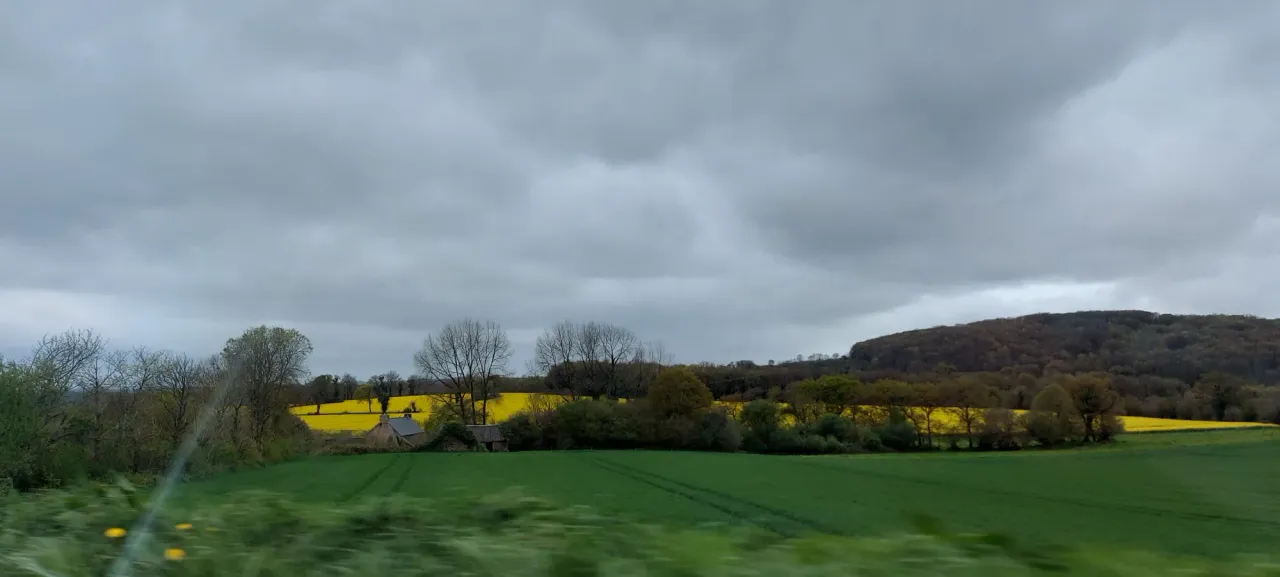 tKbrAGlaPiXeopEr_20250415_161923.webp