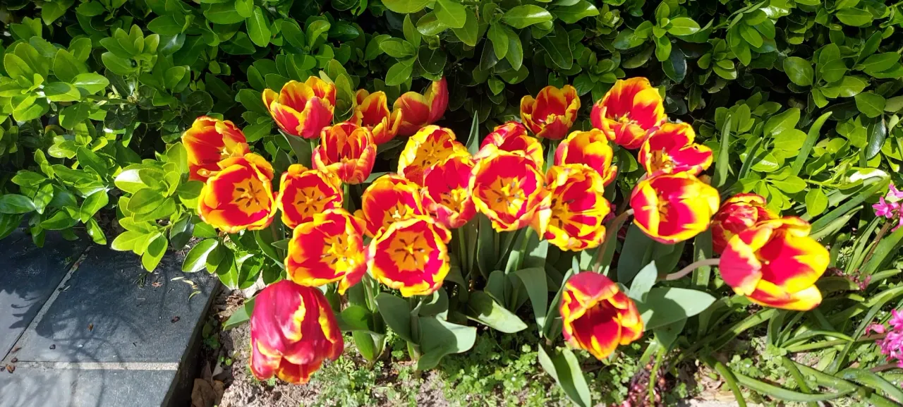 zCu0AEXqzmfw34tH_20240321_141441.webp