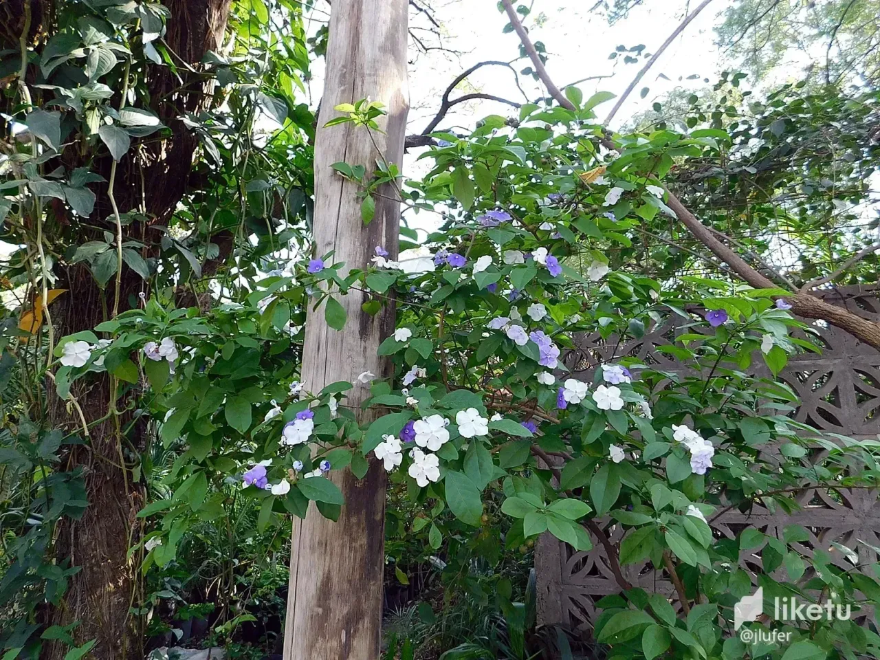 cl8lo4dsx026q2gkc590ad1tm_DSCN0164.webp
