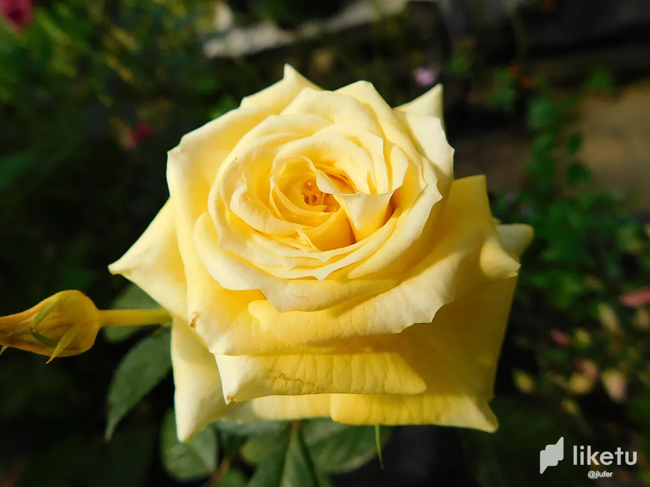 clabkp15x01ah1hmj1bv7elwd_DSCN0587.webp