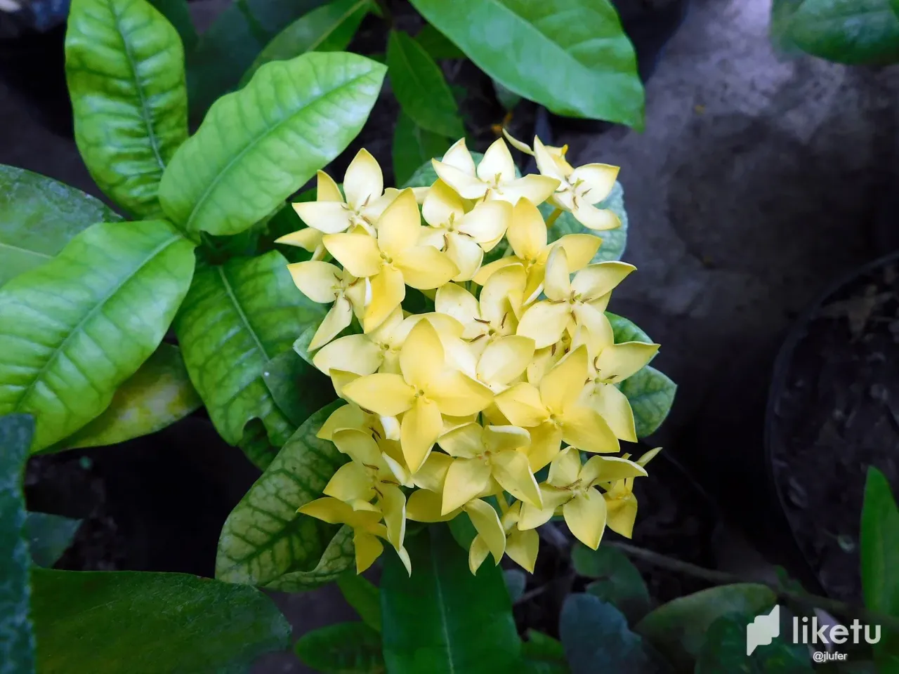 clbuu0qhj000n43szc9xkaakm_DSCN1254.webp