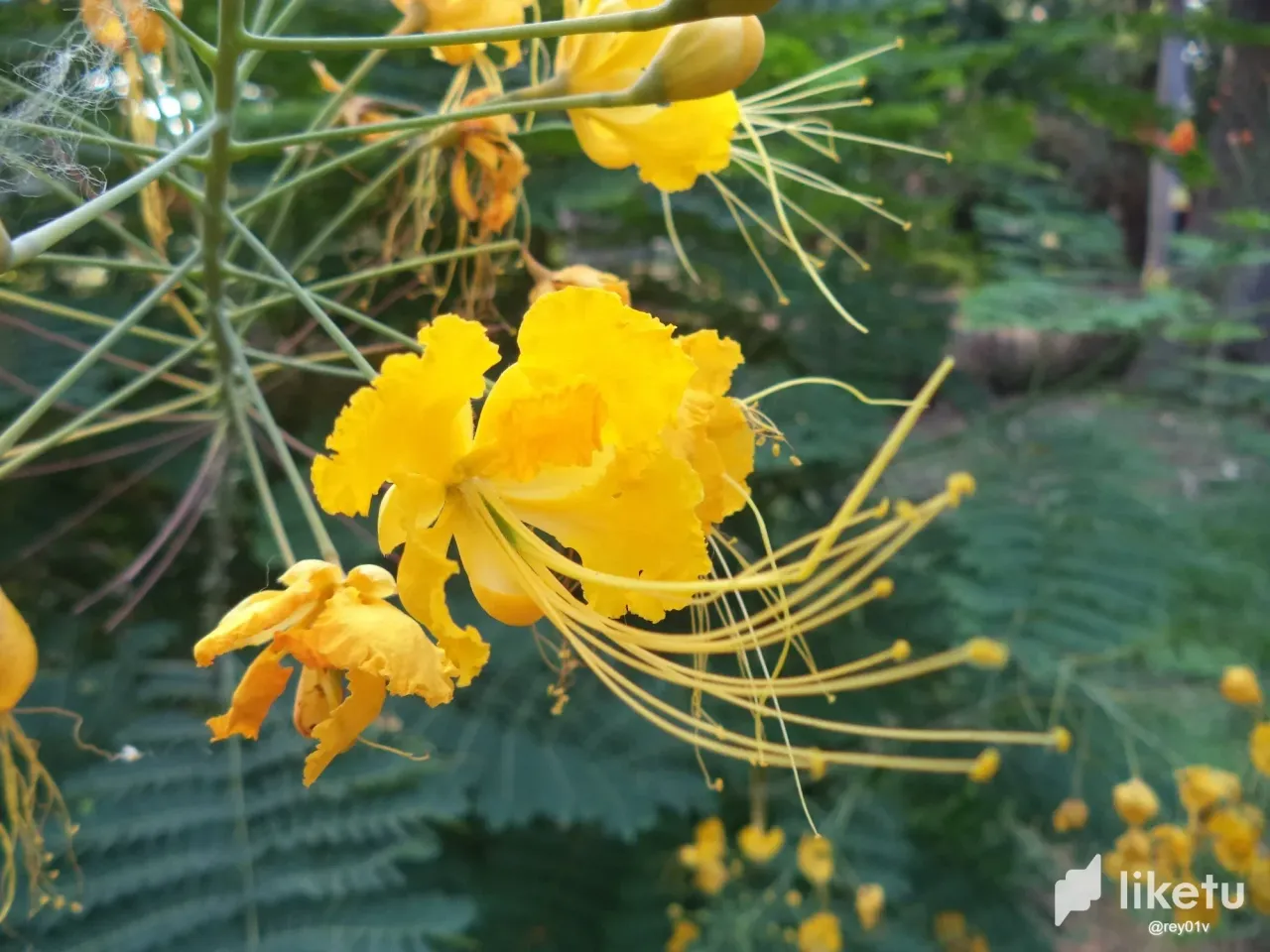 clh2vqzwx00318psz1x1u8s2e_DSC02467.webp