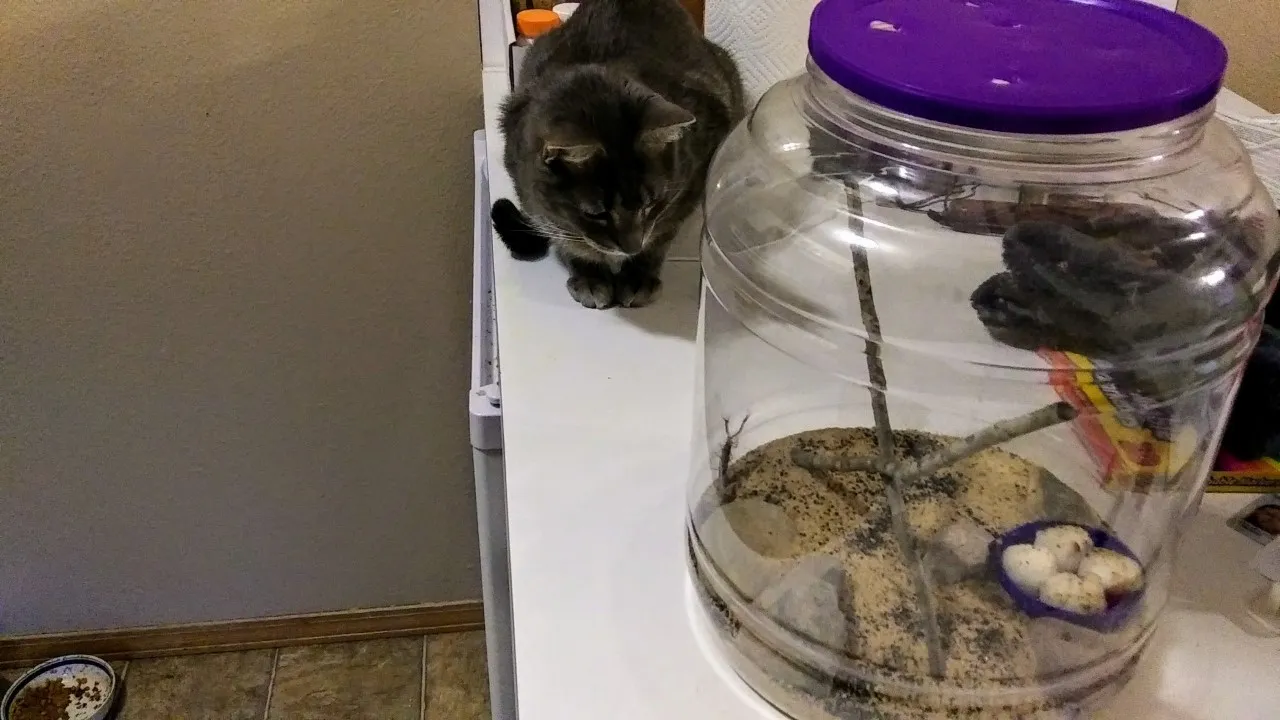 thumbnail_20191226_164822_2_resized.jpg