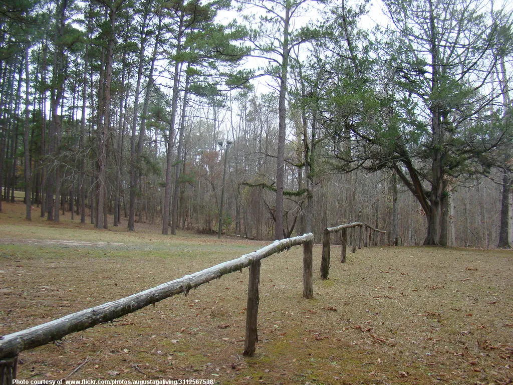 RailFenceInAutumnForest-001-0901718.jpg