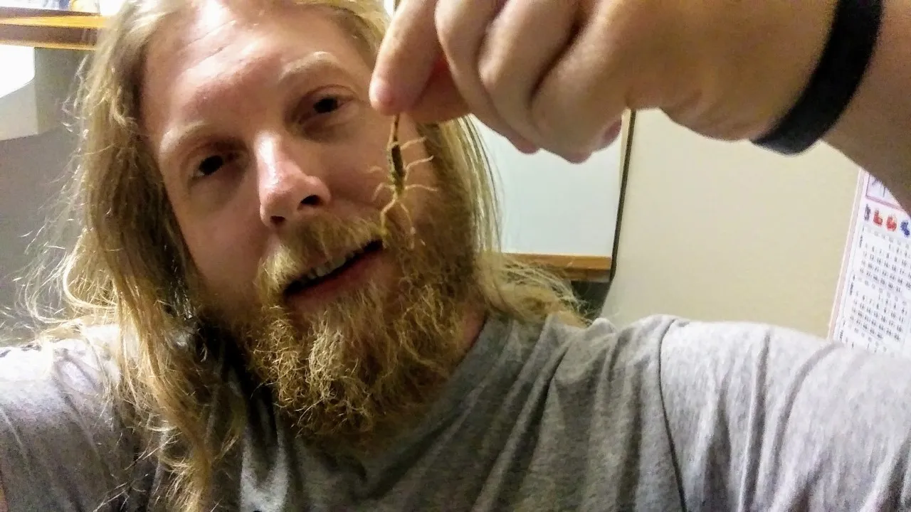 thumbnail_20191226_222712_2_resized.jpg