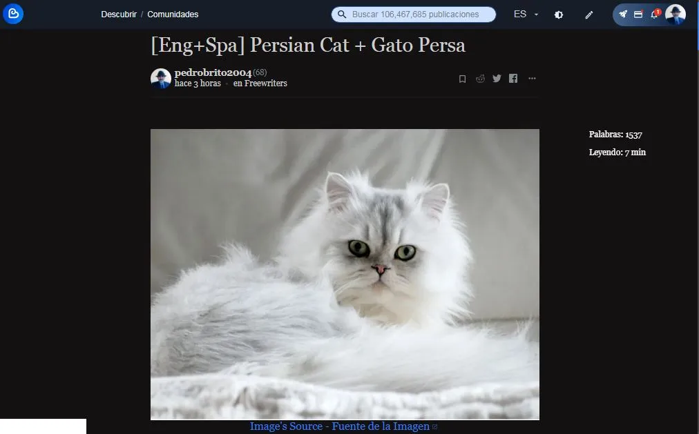 000-Captura-publicación gato.JPG