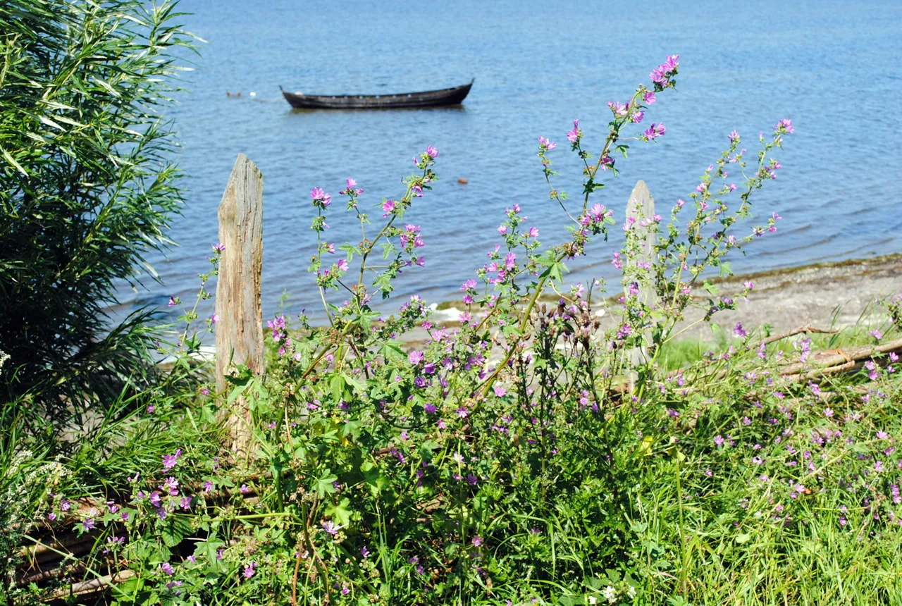boat_5943425787_o (FILEminimizer).jpg