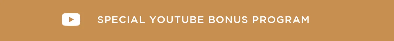 Special Youtube Bonus program.png